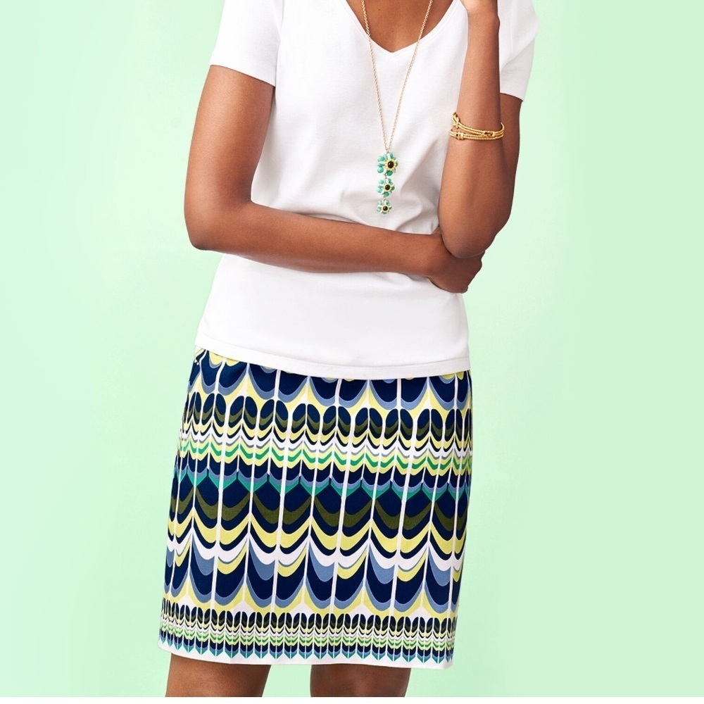 Talbots Patterned Skirt Sz 20